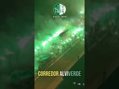 CORREDOR ALVIVERDE | TORCIDA DO PALMEIRAS LEVA O TIME ATÉ O ALLIANZ PARQUE | LIBERTADORES 2023