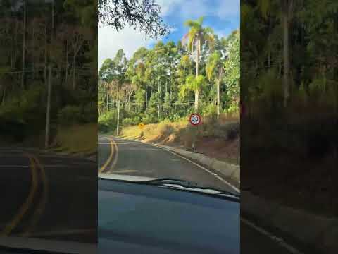 DOIS CLIMAS em UMA SÓ ESTRADA 🌤️☁️ #viagem  #viagensbaratas  #dicasdeviagem  #serragaucha #gramado