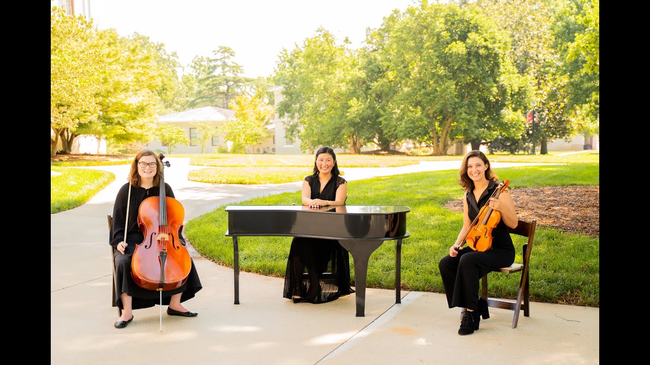 Promotional video thumbnail 12 for Madeleine's Musicians - Solo and Ensemble Music for All Occasions