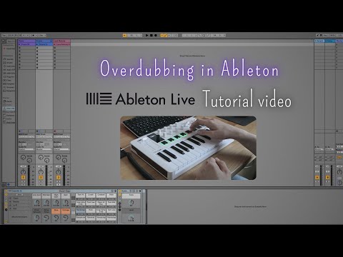 How to add midi notes to loops in Ableton | Overdubbing Midi Mapping Tutorial | Arturia MiniLab 3