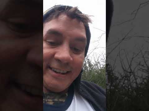 download lagu mp3 mp4 Buddy Woods Blog, download lagu Buddy Woods Blog gratis, unduh video klip Buddy Woods Blog