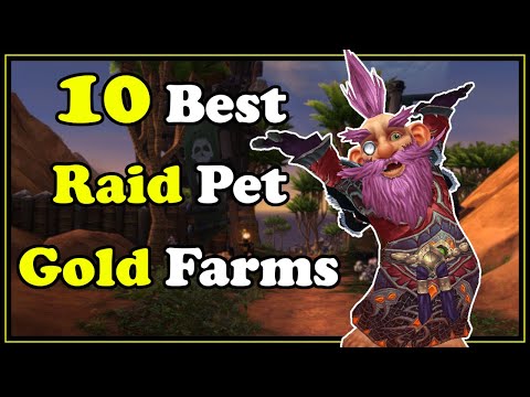 10 Best Raid Pet Gold Farms In WoW Shadowlands Gold Making