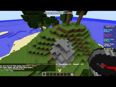 BurritoGaming Fly Hack in Bridges