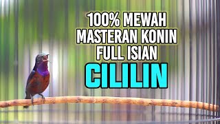 Download lagu MASTERAN KOLIBRI NINJA FULL MATERI CILILIN PANJANG 100% AMPUH BUAT MASTERAN KONIN ANDA mp3 Download lagu MASTERAN KOLIBRI NINJA FULL MATERI CILILIN PANJANG 100% AMPUH BUAT MASTERAN KONIN ANDA mp3