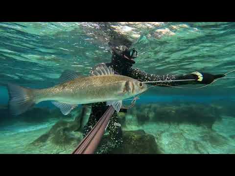 Spearfishing Croatia - Okti Mali Lošinj