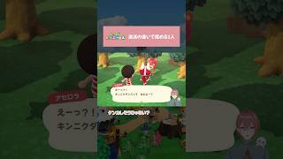 【あつ森】あぶないふたり（どうぶつ） #shorts  #animalcrossing