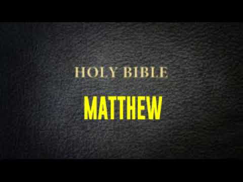 MATTHEW  CHAPTER 1 TO 28