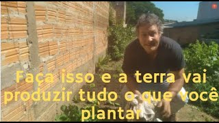 Faça isso e a terra vai produzir tudo o que você plantar