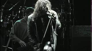 Timoria - Atti Osceni (AC3 2ch) 1992