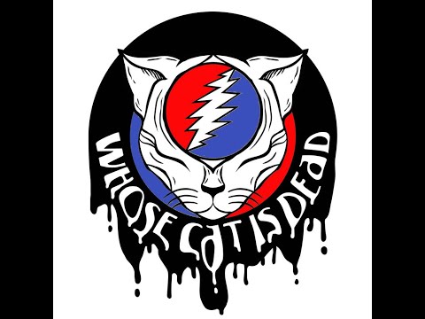 Play Video Youtube Video