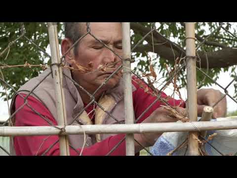 高山遊民影片縮圖