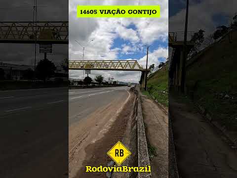 São Paulo X Ribeira do Pombal BA #shorts #rodoviabrazil #onibus #transporte #viagem