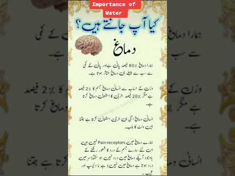 The Shocking Impact of Water Deficiency on the Brain