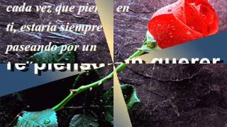 Juan Gabriel- Siempre En Mi Mente