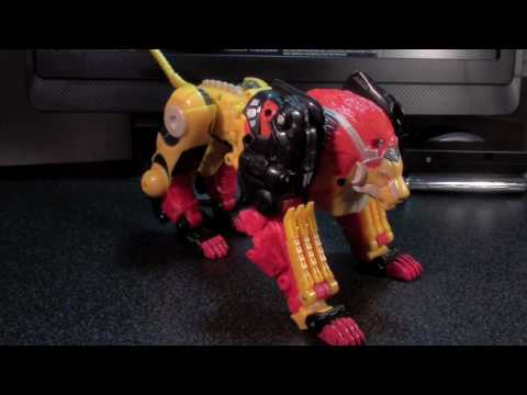Vangelus Review 62J - Botcon 2009 - Razorclaw
