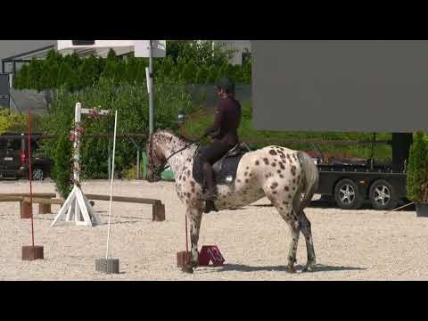 Test ovladatelnosti soutěž č. 6 a 5 NS S – senioři, děti, junioři – Czech Summer Open – 14. 6. 2025