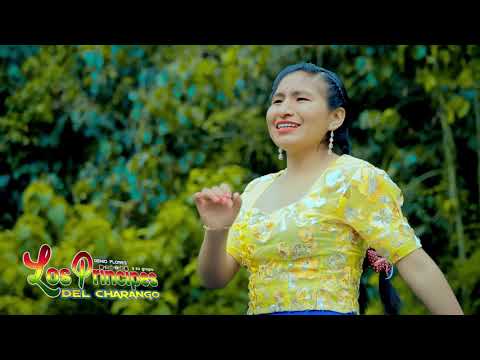 Genio Flores LOS PRINCIPES DEL CHARANGO - no me busques [OFICIAL 2021] MAGIC STUDIOS Bolivia ᴴᴰ