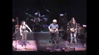 mike gordon 11/10/2003 Vic Theatre; Chicago, IL