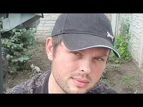 Последние новости всё будет хорошо