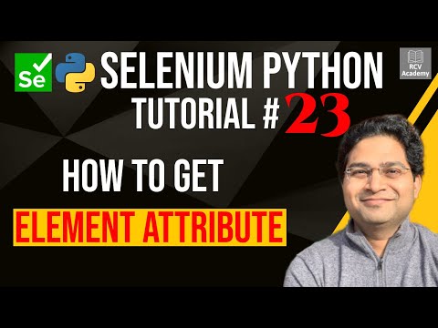 Learn Selenium Python Tutorial 23 How to Get Element Attribute Value ...
