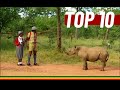 Zimbabwe Top 10 ZBC TV 90s Commercials / Adverts | Olivine, Chibuku, Mazoe