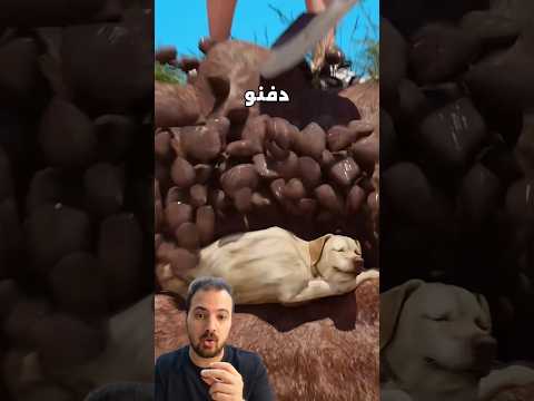 مافيش حد كان يعرف أنه لسه عايش
