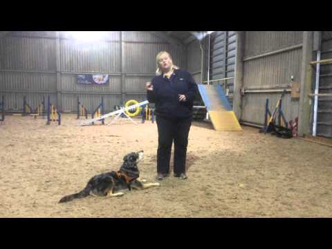 Philippa   teaching Wizard the Down and Call side