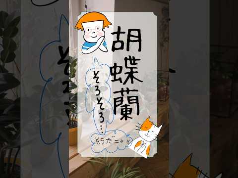 bac-a-fleurs--bois-pensees-graminees-ornementales