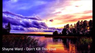 Shayne Ward - Don&#39;t Kill This Love (Lyrics)