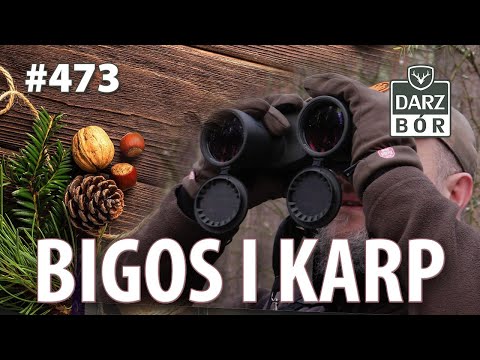 Darz Bór odc. 473 Bigos i Karp
