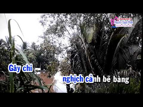 Tan co tieng nhai bau