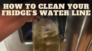 How To Clean Your Refrigerator’s Water Dispenser Line - Quick & Easy No Complicated Tools Needed -