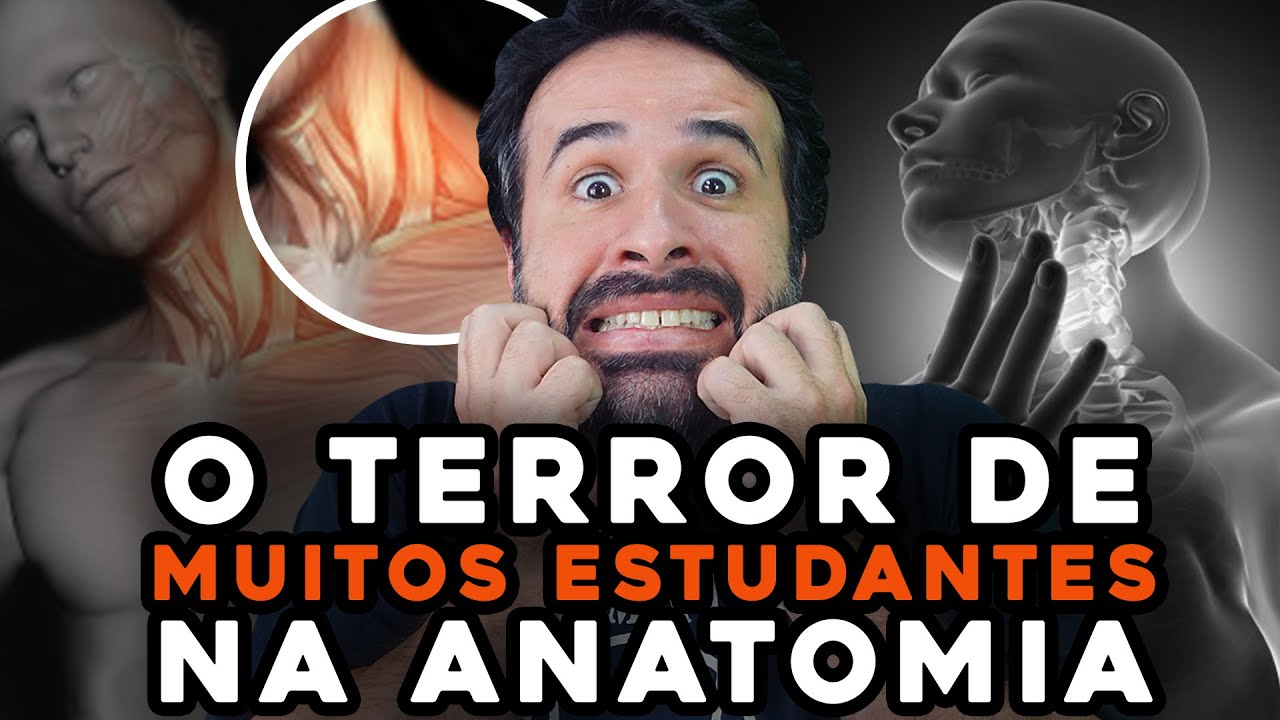 MÚSCULOS DO PESCOÇO O TERROR DE MUITOS ESTUDANTES NA ANATOMIA
