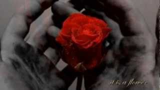 The Rose - Bette Midler