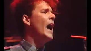 Big Country - Where The Rose Is Sown (TOTP 06/12/84)