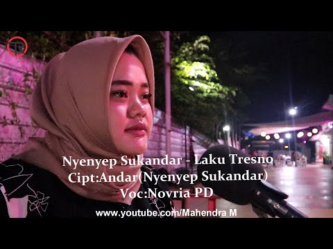 Nyenyep Sukandar - Laku Tresno (Cover Novria PD)