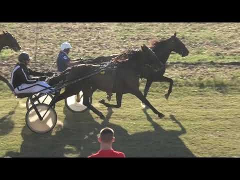Trka "Žisel Omoljica" 19.08.2021 Čarli Star - Dejan Katanić