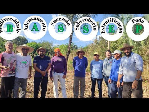 RECEBERMOS VISITA NA ROÇA PRA FALAR DO PROJETO SAF SISTEMA AGROFLORESTAL