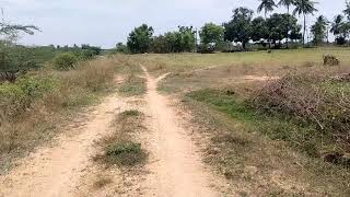 Agricultural Land for Sale in Keeranur, Pudukkottai