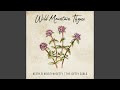 Wild Mountain Thyme
