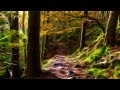 The Garden of Zephirus by Dead Can Dance