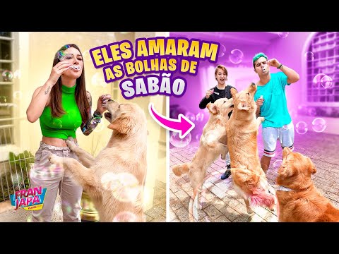 MY DOGS WENT CRAZY FOR SOAP BUBBLES - Fran Japa