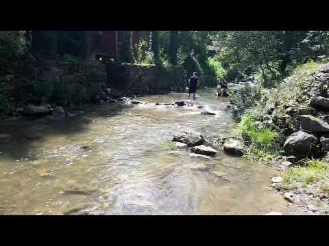 Romania -Bihor- Valea Bratcutei