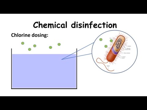UV disinfection - How to eliminate viruses I bacteria I wastewater