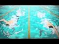 TVアニメ『Free! -Eternal Summer- 』OP