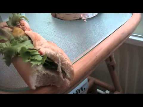 Kuhtalaisen tulinen patonki