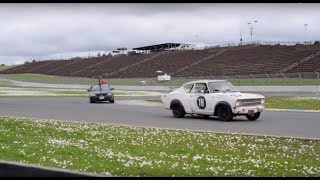 Lemons Wrapup--Sonoma '19