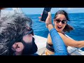 Dancing Dolphins Anikha Surendran Govind Padmasoorya Maldives Anikhasurendran