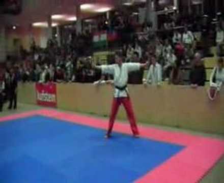 AUSTRIAN CLASSIC 2007 - move artistic kama