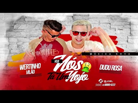 Dudu Rosa & Wertinho Vilão - Hoje Nós Tá Um Nojo ( DJ Xiclin ) ( Áudio Oficial )